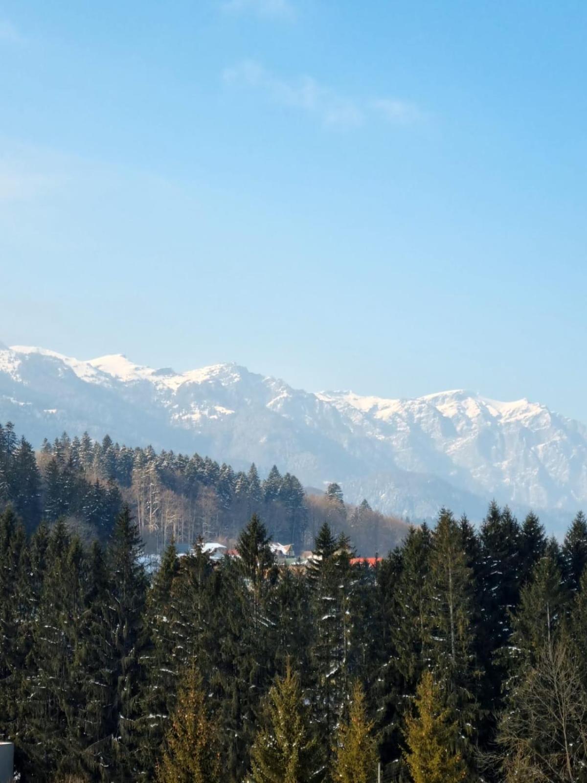 Apartment Vintage Sinaia
